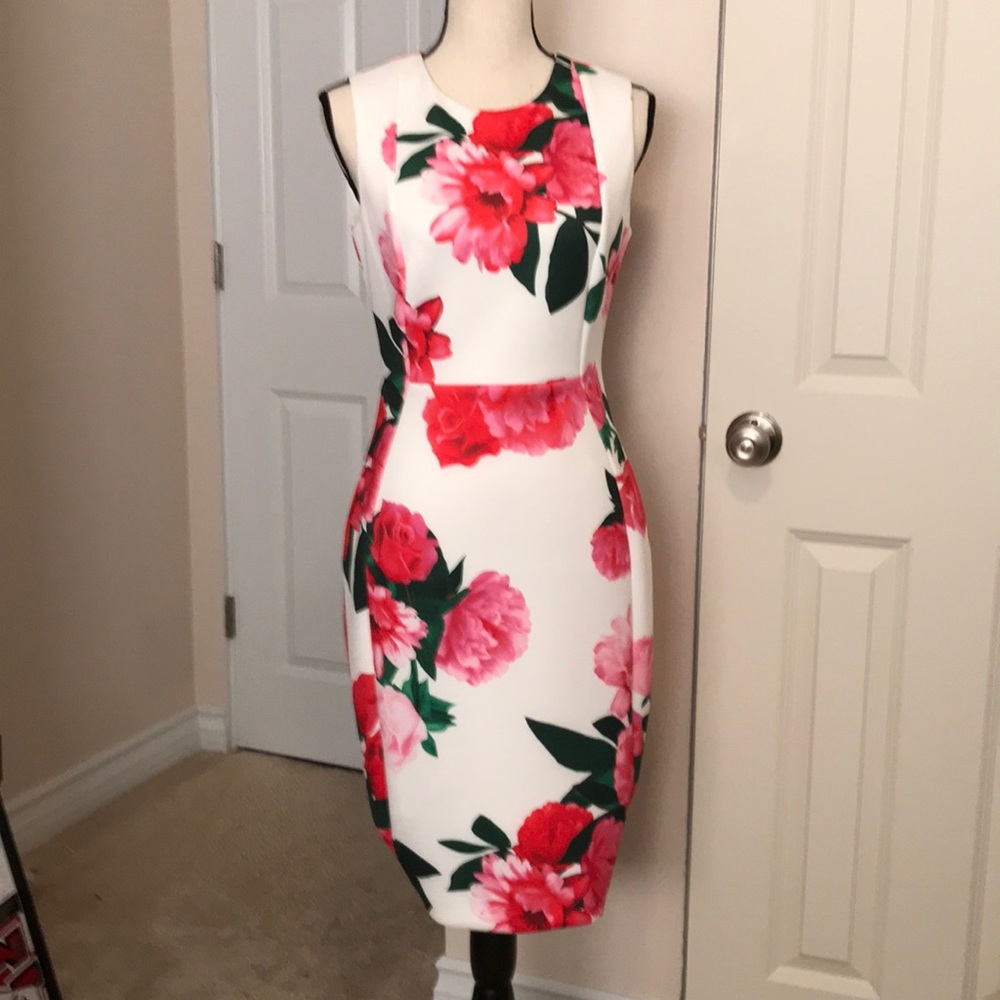 Gorgeous New Calvin Klein Dress